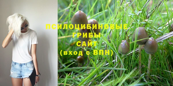 герыч Абаза