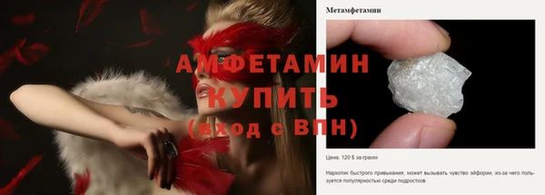 шишки Няндома