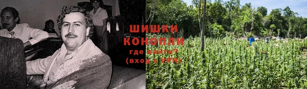 шишки Няндома