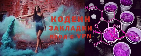 шишки Няндома