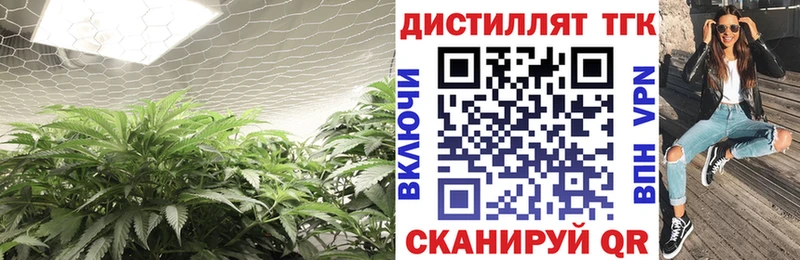как найти наркотики  Сысерть  Дистиллят ТГК вейп 