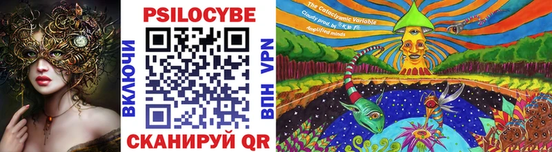 купить наркотик Сысерть omg онион Псилоцибиновые грибы прущие грибы