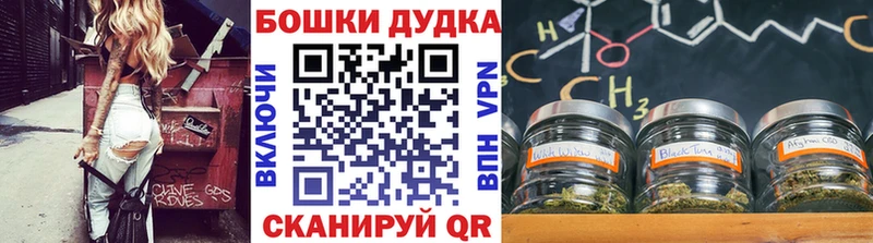 Конопля индика Сысерть