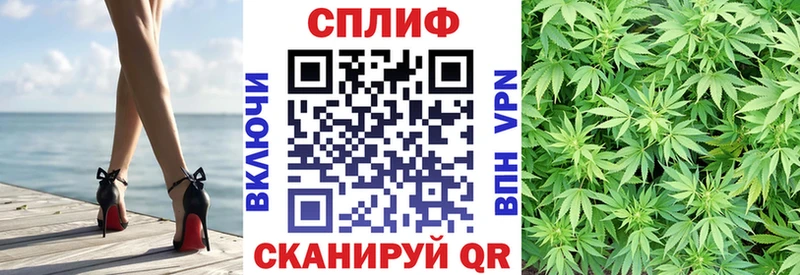 цена   Сысерть  Марихуана сатива 